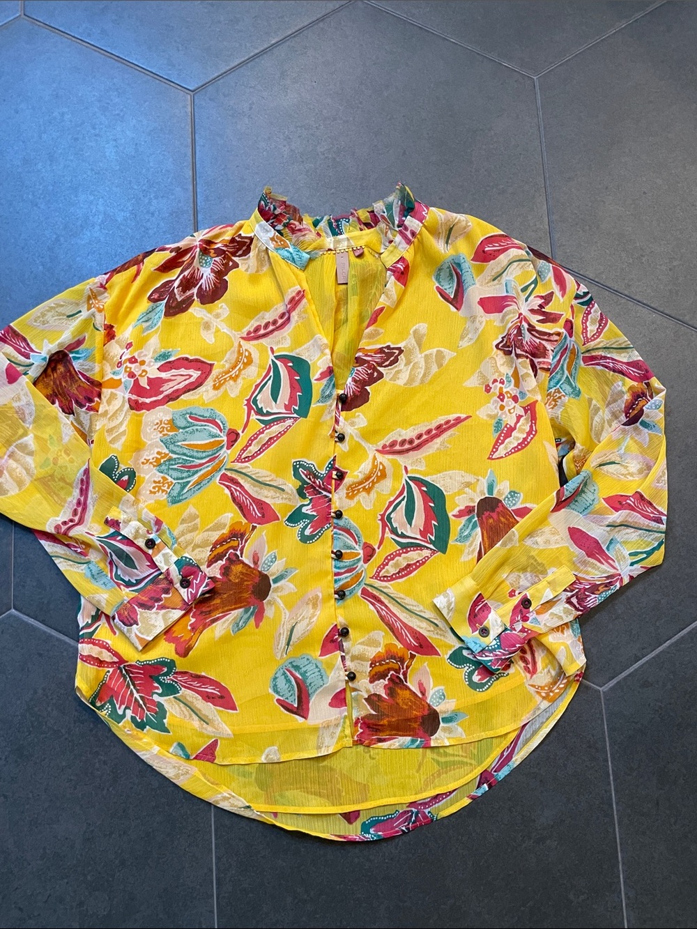 Pilcro Anthropologie Long Sleeve Sheer Top L